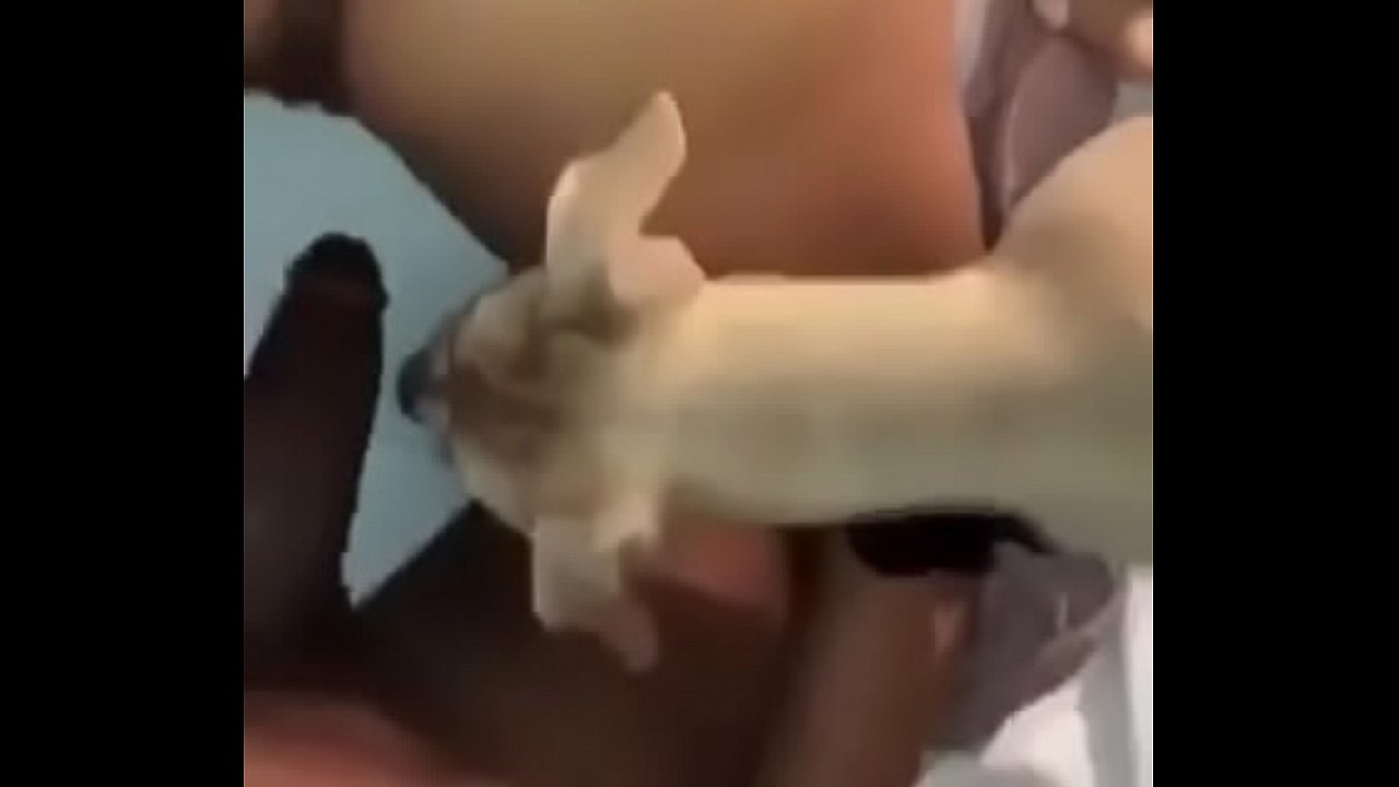 Mujeres desnudas follando con animales